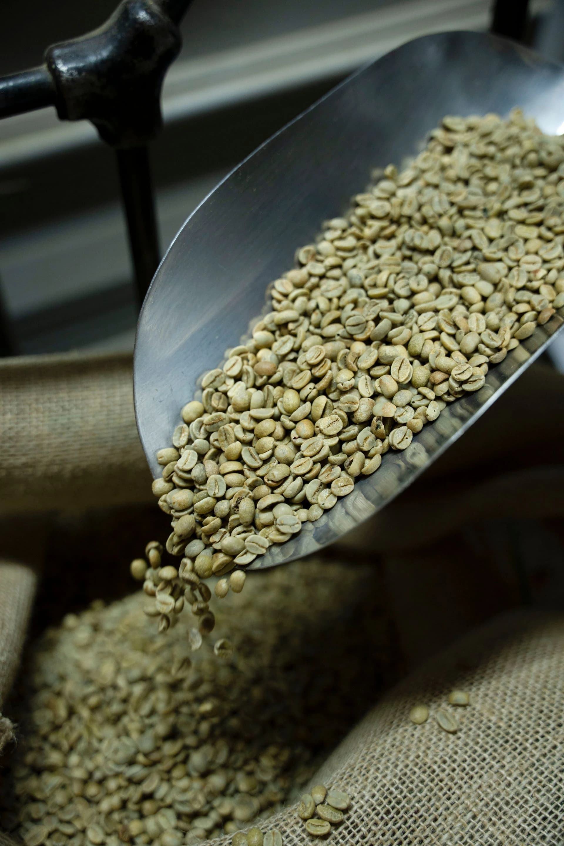 Coffee farming in Ethiopia